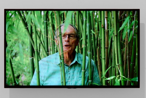 Cecilia-Bengolea-y-Deller-Jeremy-600x404